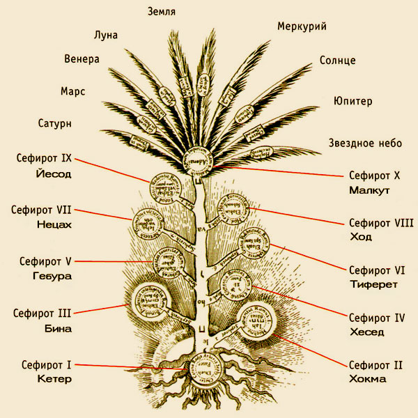 Каббалистическое дерево жизни сефирот